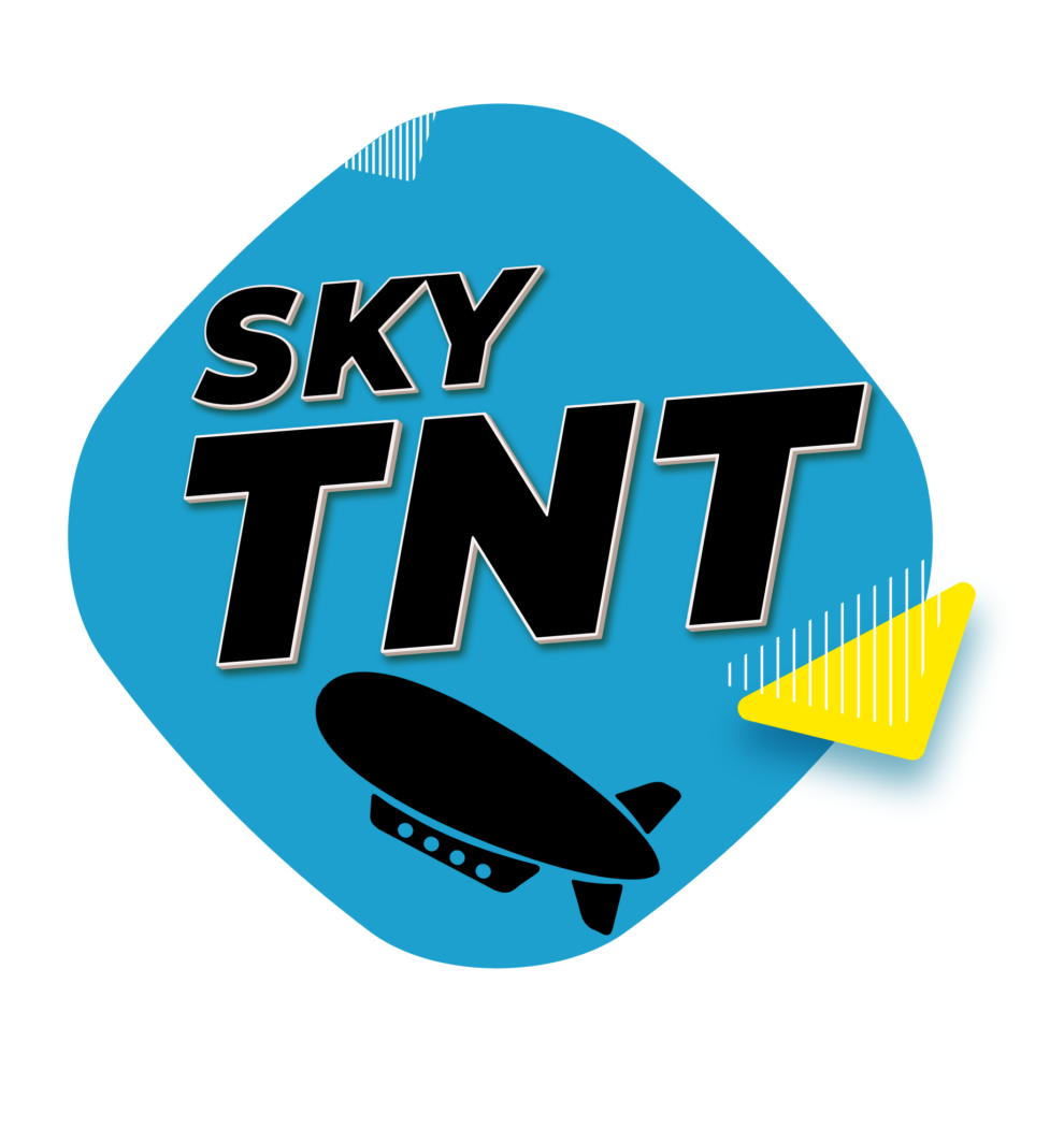 SkyTNT